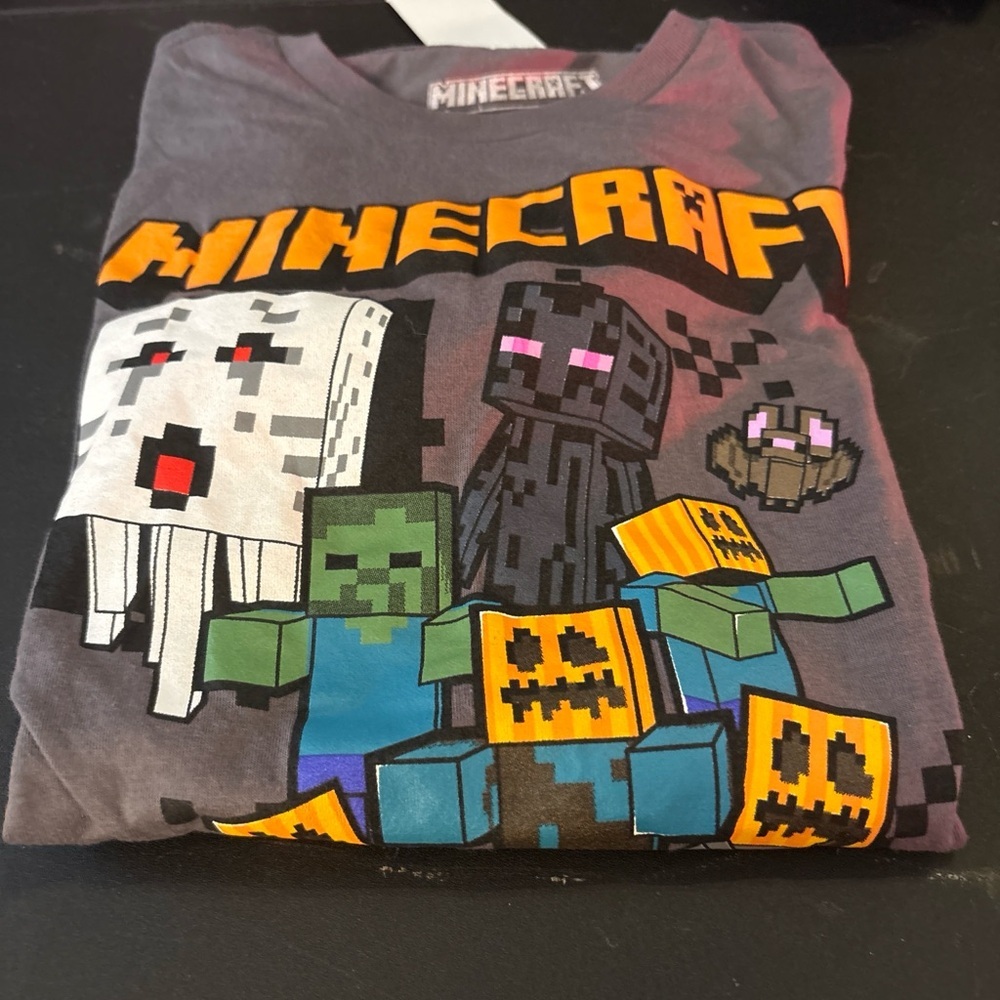 Minecraft Kids Short Sleeve Graphic Tee - Charcoal Gray